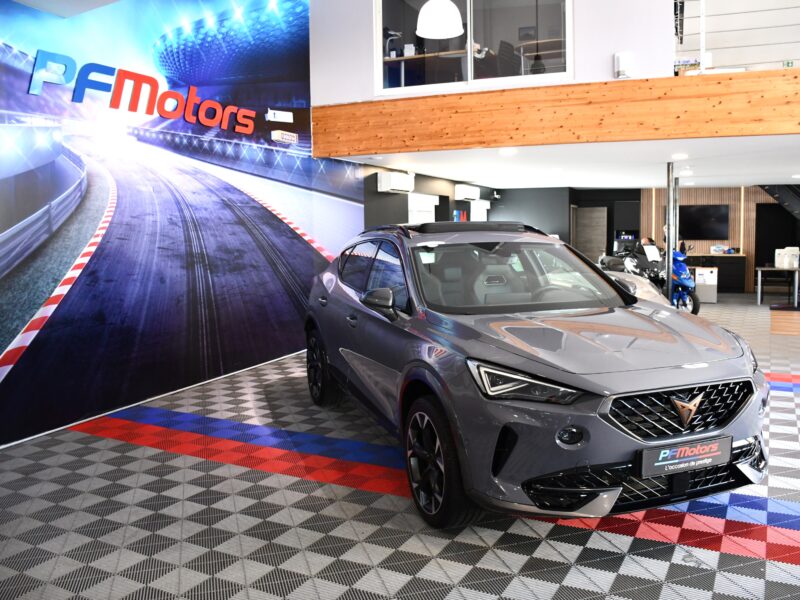 Cupra Formentor 2.0 TDI 150 DSG 4Drive GPS Virtual TO ACC Mode Caméra Hayon Baquet Lane Full Linck JA 19